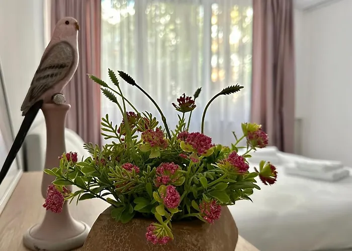 Apartment Xox Comfort Obregia